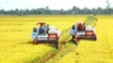 Ngành nông nghiệp và môi trường: Phân cấp, phân quyền để phát huy tối đa tiềm năng
