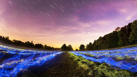 Hội đồng dân tộcdá