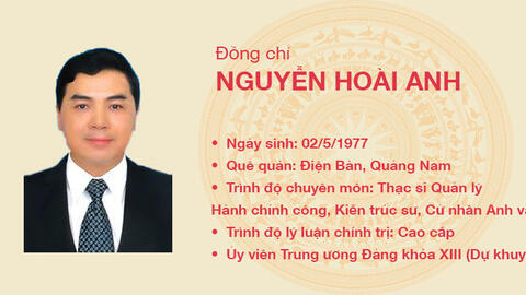 Nguyễn Hoài Anh