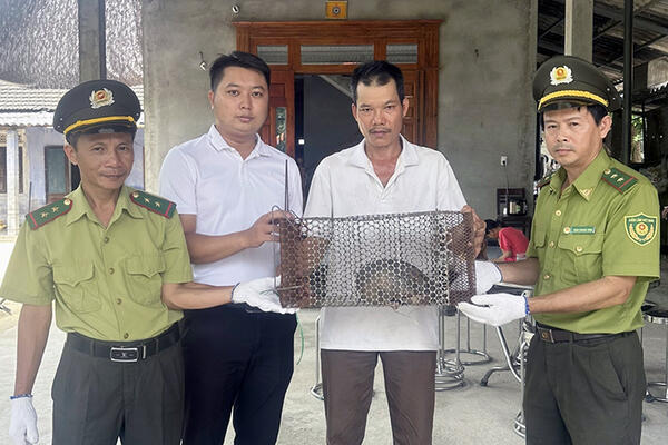 Phường Kim Trà: Chính quyền tiếp nhận động vật rừng nhóm IB do người dân giao nộp