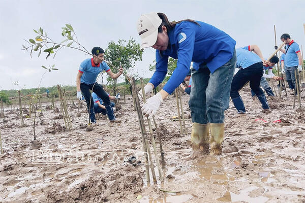 Hưng Yên: Phấn đấu trồng mới 20 ha rừng
