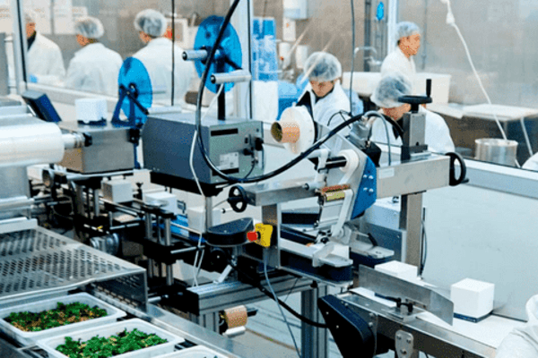Tổng hợp hệ thống phân phối thực phẩm chế biến của Thụy Điển