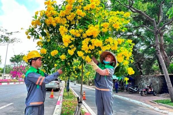 Phường Vũng Tàu hướng đến mô hình “phố xanh muôn sắc hoa”