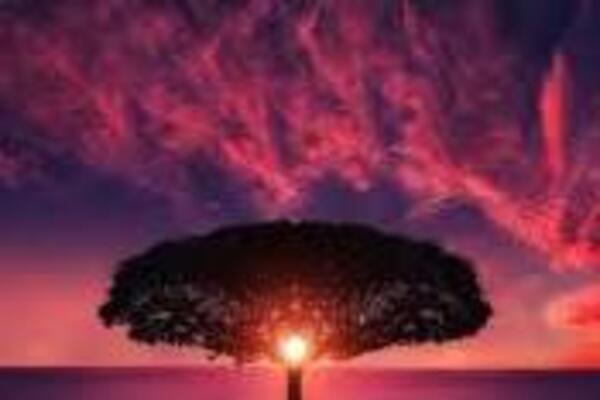 đẩy xuống cổng an giang photos