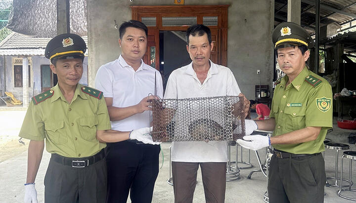 Phường Kim Trà: Chính quyền tiếp nhận động vật rừng nhóm IB do người dân giao nộp