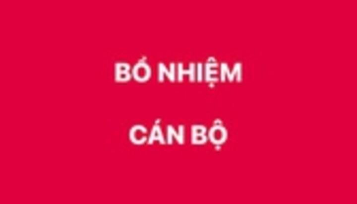 Bổ nhiệm Vụ trưởng Vụ Tổng hợp