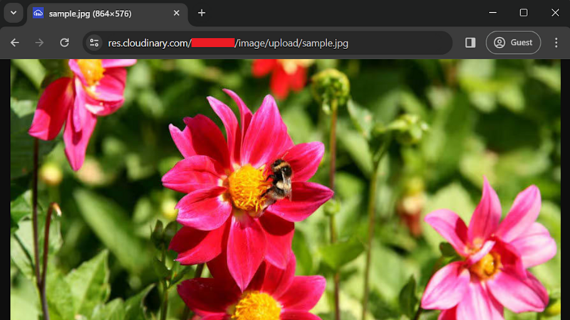 Test pt