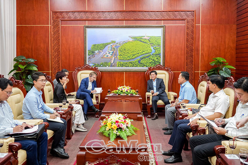 Thúc đẩy triển khai hiệu quả dự án đê biển Tây tại Cà Mau
