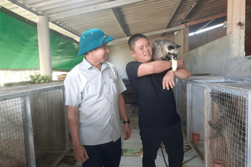 Nông dân trẻ xã Trường Phú làm giàu từ mô hình nuôi chồn hương và trồng cam theo tiêu chuẩn VietGap