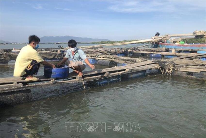 Một xã đảo nổi tiếng ở TPHCM sau sáp nhập có "Tuyến đường thanh toán không dùng tiền mặt"