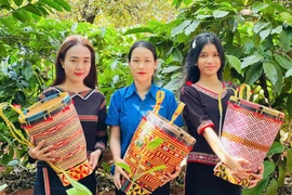 Ðảng viên trẻ góp sức xây dựng quê hương