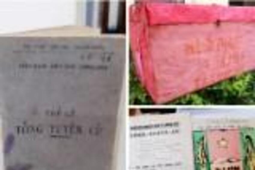 Dưới cờ Đảng quang vinh