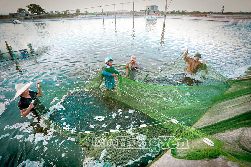 Khát vọng nông dân Hưng Yên trong kỷ nguyên vươn mình