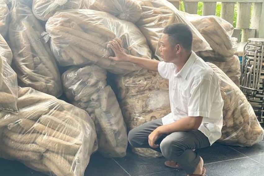 Làm giàu từ xơ mướp của anh nông dân xứ Quảng