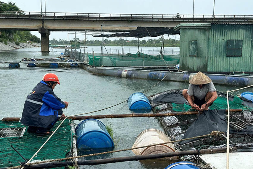 Người dân và chính quyền vùng trũng tích cực chủ động ứng phó thiên tai