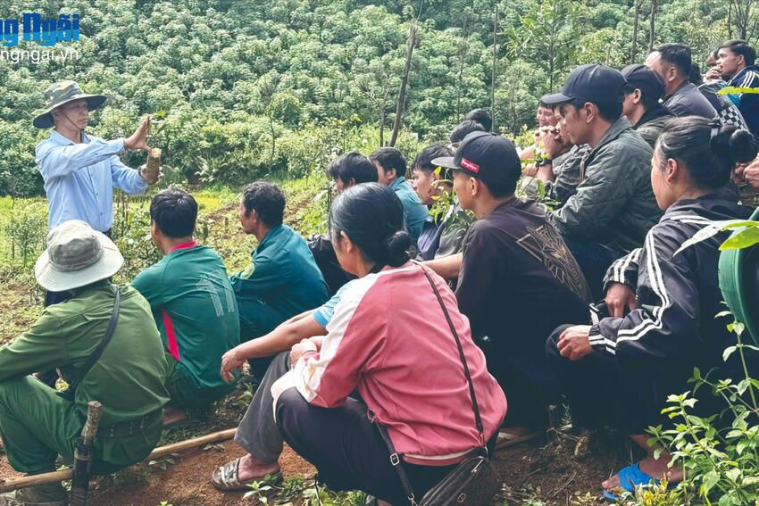 Khuyến khích, bảo vệ cán bộ dám nghĩ, dám làm