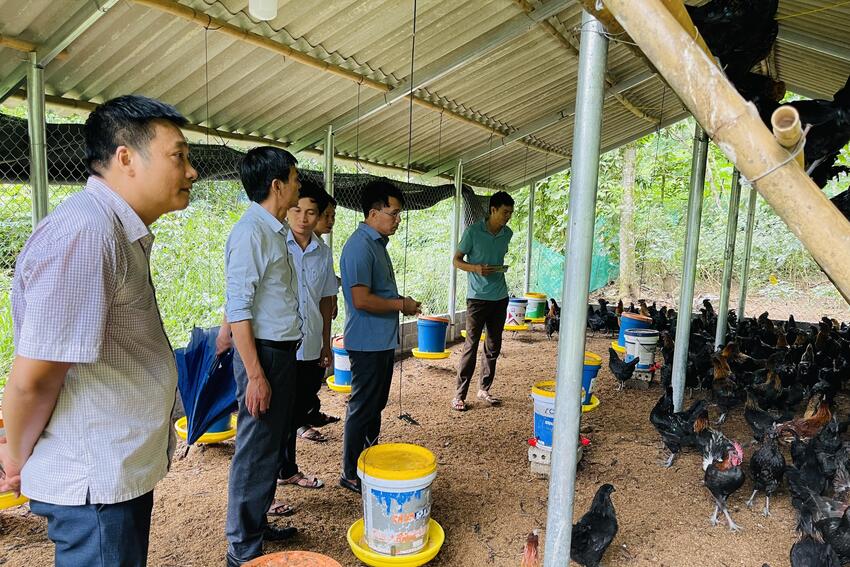 Xã Hùng An (Tuyên Quang) nâng cao chất lượng vệ sinh môi trường trong phát triển chăn nuôi