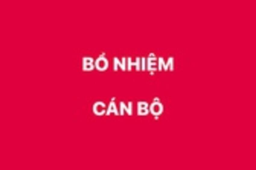 Bổ nhiệm Vụ trưởng Vụ Tổng hợp