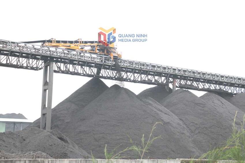 TKV: Giữ vững nhịp độ sản xuất, đảm bảo mục tiêu tăng trưởng