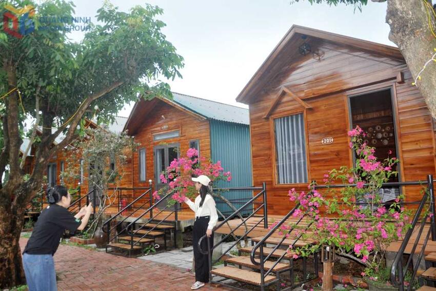 Hứa hẹn sức bứt phá dịp cuối năm