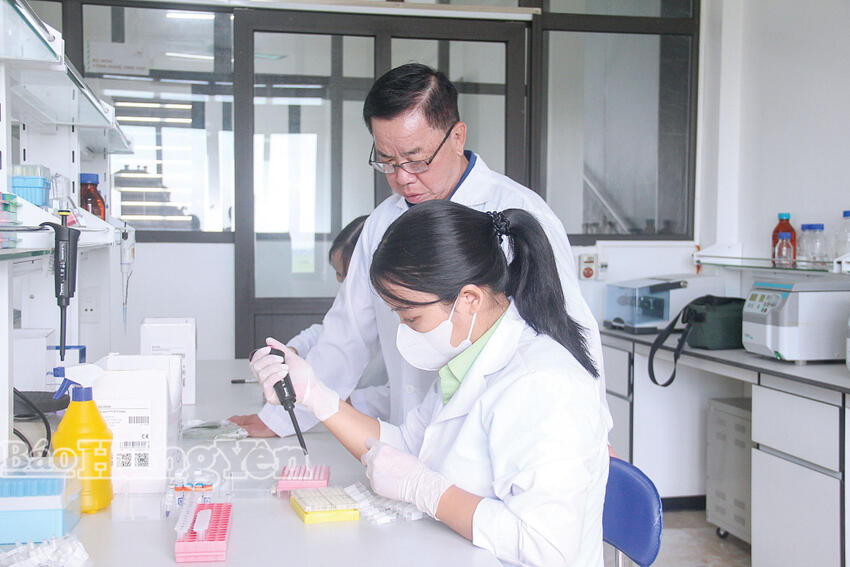 Những bông hoa trong vườn hoa muôn sắc thắm