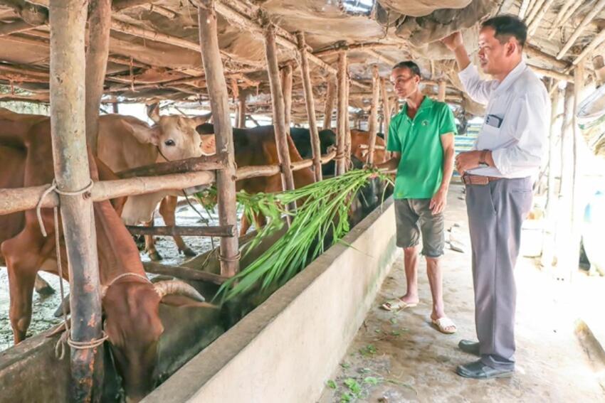 Nông dân Long Hiệp học và làm theo Bác góp phần xây dựng quê hương