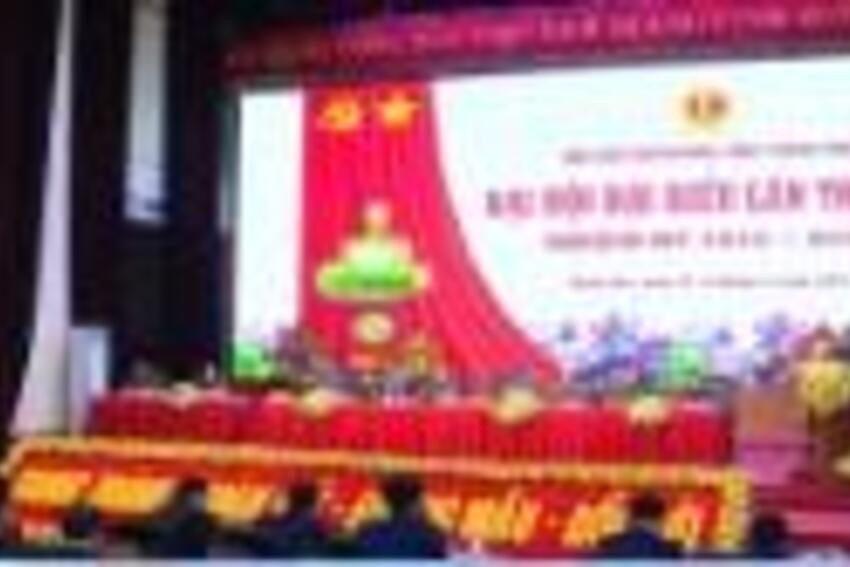 Tăng cường củng cố, kiện toàn, phát triển tổ chức Hội Cựu chiến binh các cấp vững mạnh toàn diện