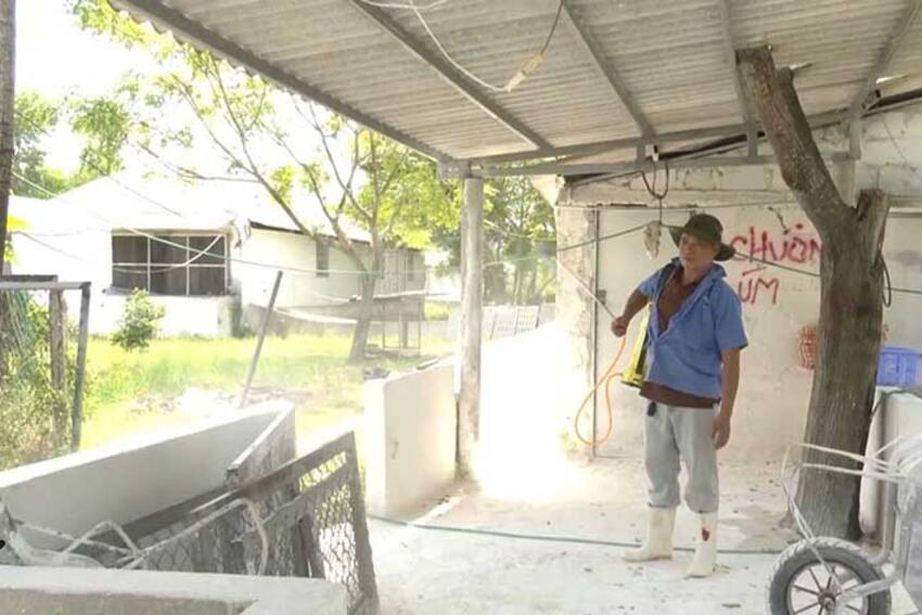 Giám sát chặt chẽ kê khai chăn nuôi - then chốt trong phòng chống dịch tả lợn