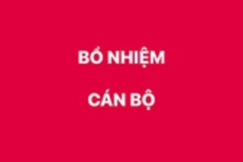 Bổ nhiệm lại Phó Vụ trưởng Vụ Tổ chức cán bộ