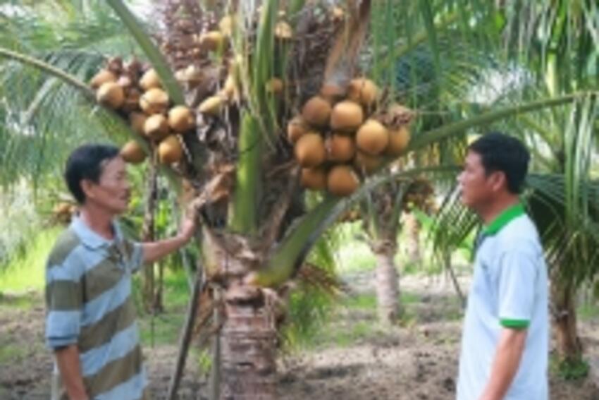 Học và làm theo Bác: Tận tụy với Nhân dân