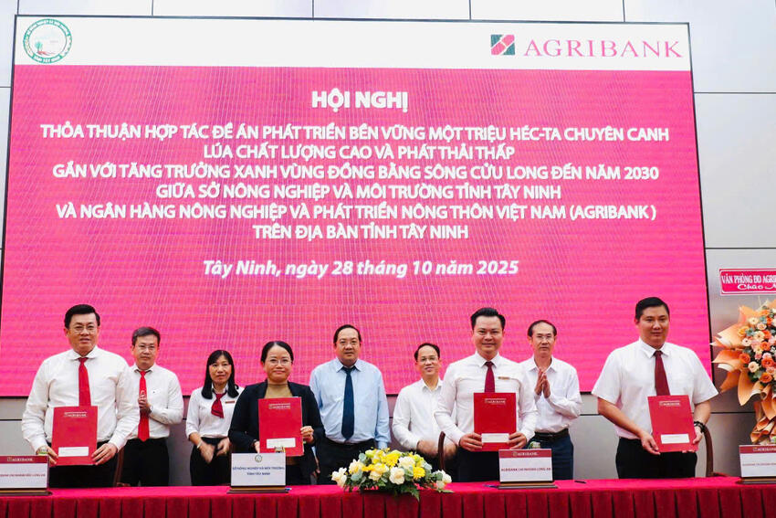 Ngân hàng liên kết với địa phương triển khai cho vay chương trình 1 triệu ha lúa phát thải thấp