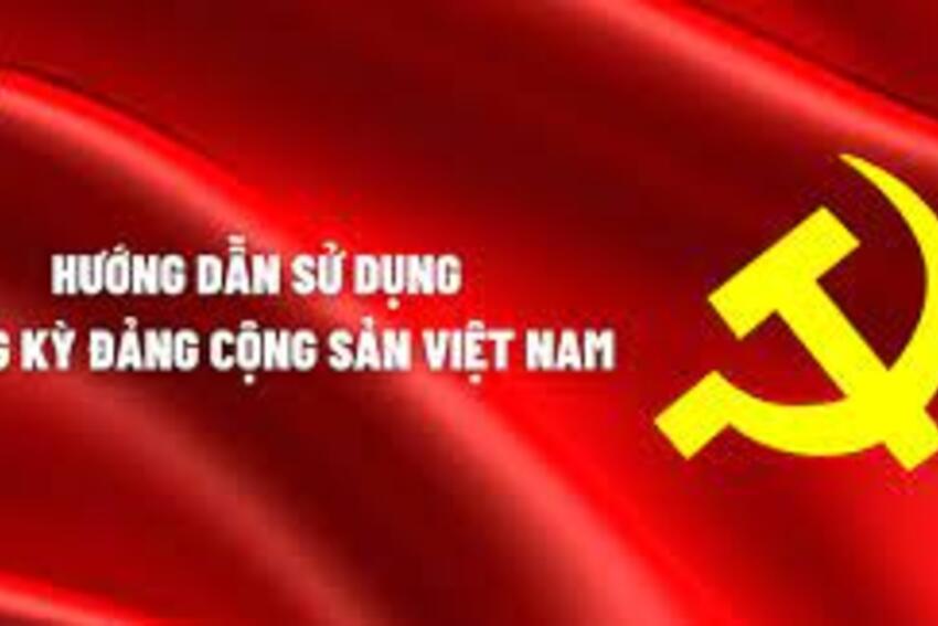 Sử dụng Đảng kỳ Đảng Cộng sản Việt Nam
