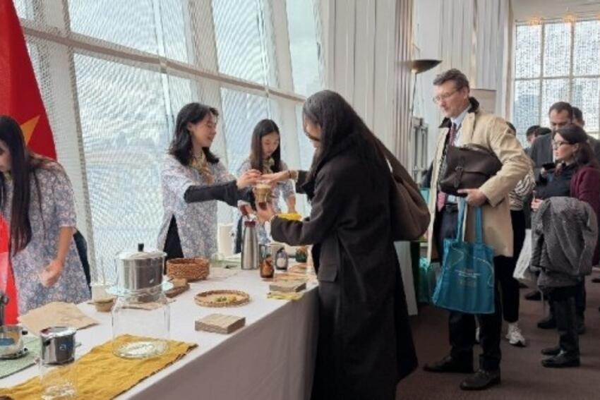 Đại hội đồng Liên hợp quốc thông qua Nghị quyết về Ngày quốc tế Cà phê