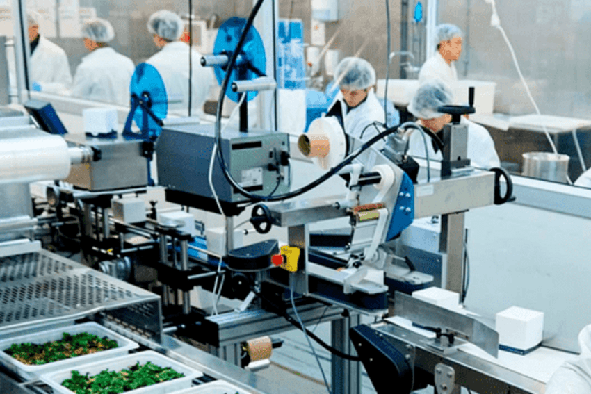 Tổng hợp hệ thống phân phối thực phẩm chế biến của Thụy Điển