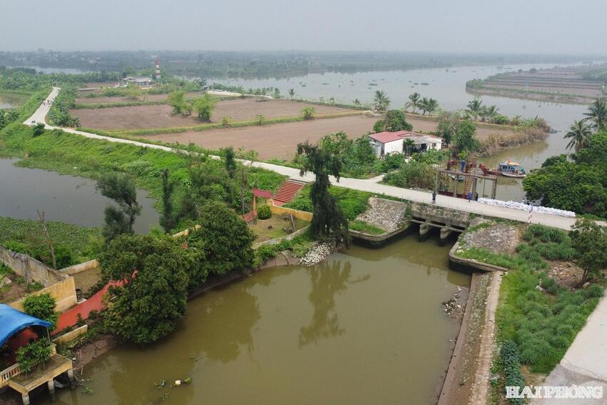 Hải Phòng bảo đảm an toàn đê điều trong mùa mưa bão