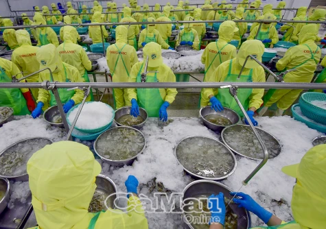 Cà Mau dẫn đầu chỉ số FTA