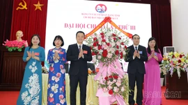 Đảng bộ Các cơ quan Đảng tỉnh: Chỉ đạo chuẩn bị tốt đại hội cơ sở