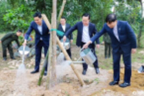 Tỉnh Nghệ An phát động 'Tết trồng cây đời đời nhớ ơn Bác Hồ' Xuân Ất Tỵ 2025