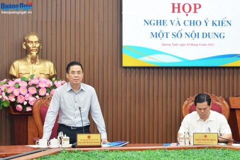 UBND tỉnh cho ý kiến về Khu phức hợp Công nghiệp - Đô thị - Dịch vụ An Phú