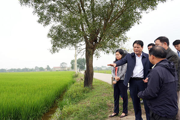 Thúc đẩy phát triển nông nghiệp hữu cơ, nông nghiệp tuần hoàn