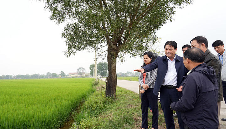 Thúc đẩy phát triển nông nghiệp hữu cơ, nông nghiệp tuần hoàn
