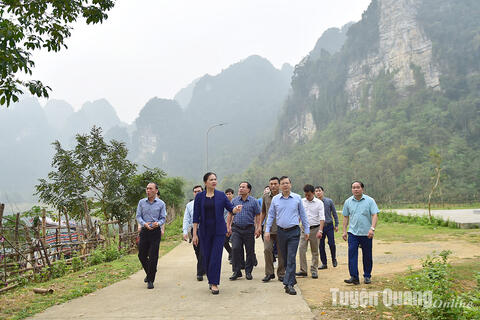 Đoàn công tác Ban Thường vụ Tỉnh ủy khảo sát tình hình phát triển kinh tế, xã hội tại Na Hang