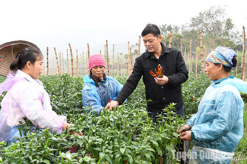 Đoàn kết là sức mạnh