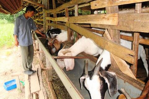 Tỉnh Bình Dương thoát nghèo từ những việc làm thiết thực