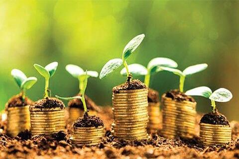 Tín dụng xanh: Động lực phát triển kinh tế xanh, bền vững