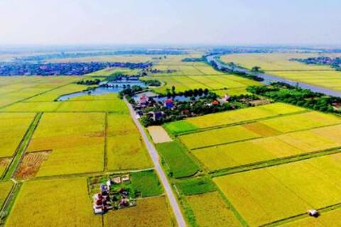 Bộ Tài chính triển khai các nhiệm vụ về nông nghiệp, nông dân, nông thôn