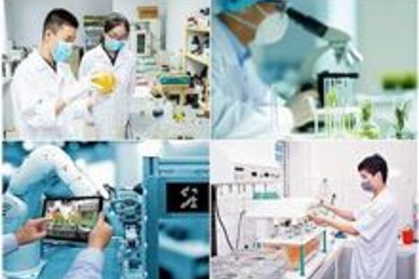 Mô hình S.T.I.D: Con đường để Việt Nam phát triển một xã hội số hiện đại và bền vững