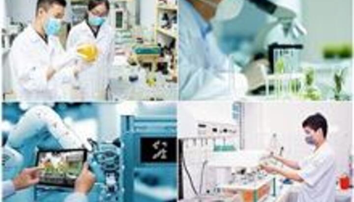 Mô hình S.T.I.D: Con đường để Việt Nam phát triển một xã hội số hiện đại và bền vững