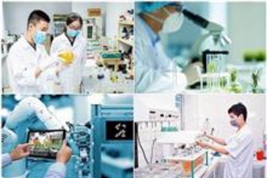 Mô hình S.T.I.D: Con đường để Việt Nam phát triển một xã hội số hiện đại và bền vững