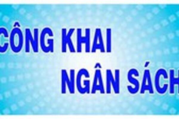 VPCP công bố công khai quyết toán ngân sách năm 2023
